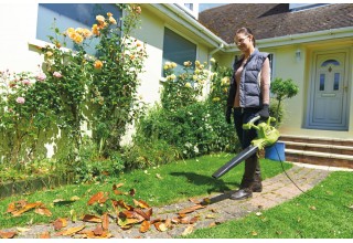 Воздуходувка-пылесос электрическая RYOBI RBV3000CSV