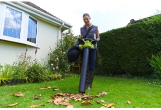 Воздуходувка-пылесос электрическая RYOBI RBV3000CSV