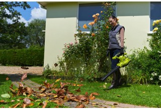 Воздуходувка-пылесос электрическая RYOBI RBV3000CSV