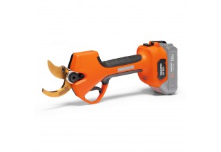 Секатор аккумуляторный DAEWOO DAGP 3821Li
