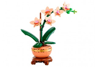 Конструктор LEGO The Botanical Collection 10343 Мини Орхидея