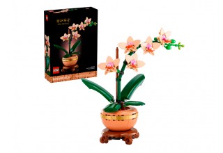 Конструктор LEGO The Botanical Collection 10343 Мини Орхидея