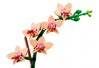 Конструктор LEGO The Botanical Collection 10343 Мини Орхидея
