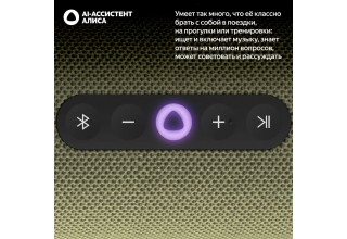 Умная колонка Яндекс Станция Стрит (зеленый)