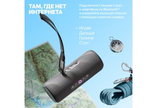 Умная колонка Яндекс Станция Стрит (черный)